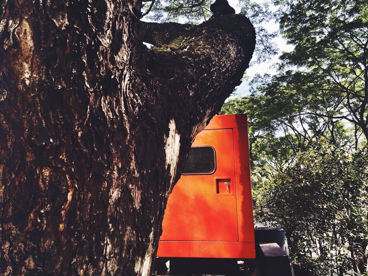 J & S Tree Service